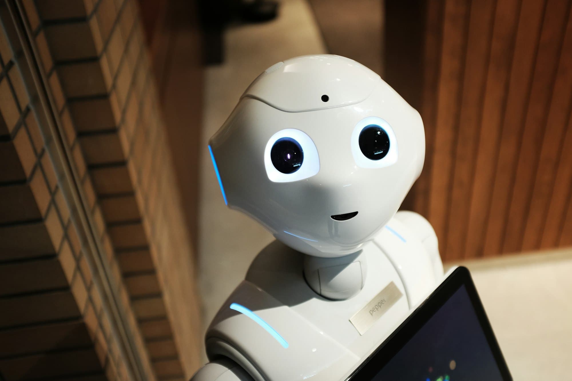 Humanoid service robot looking toward the camera